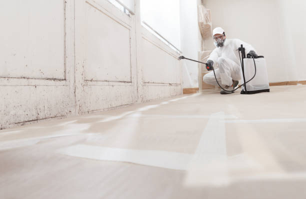 24/7 Emergency Attic Mold Remediation experts in Richmond, MN